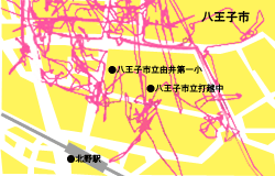 東京都八王子市のポスティングの作業記録イメージ